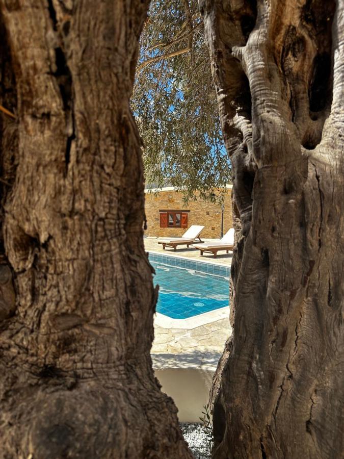 ميليو Stone Court Boutique Studios المظهر الخارجي الصورة